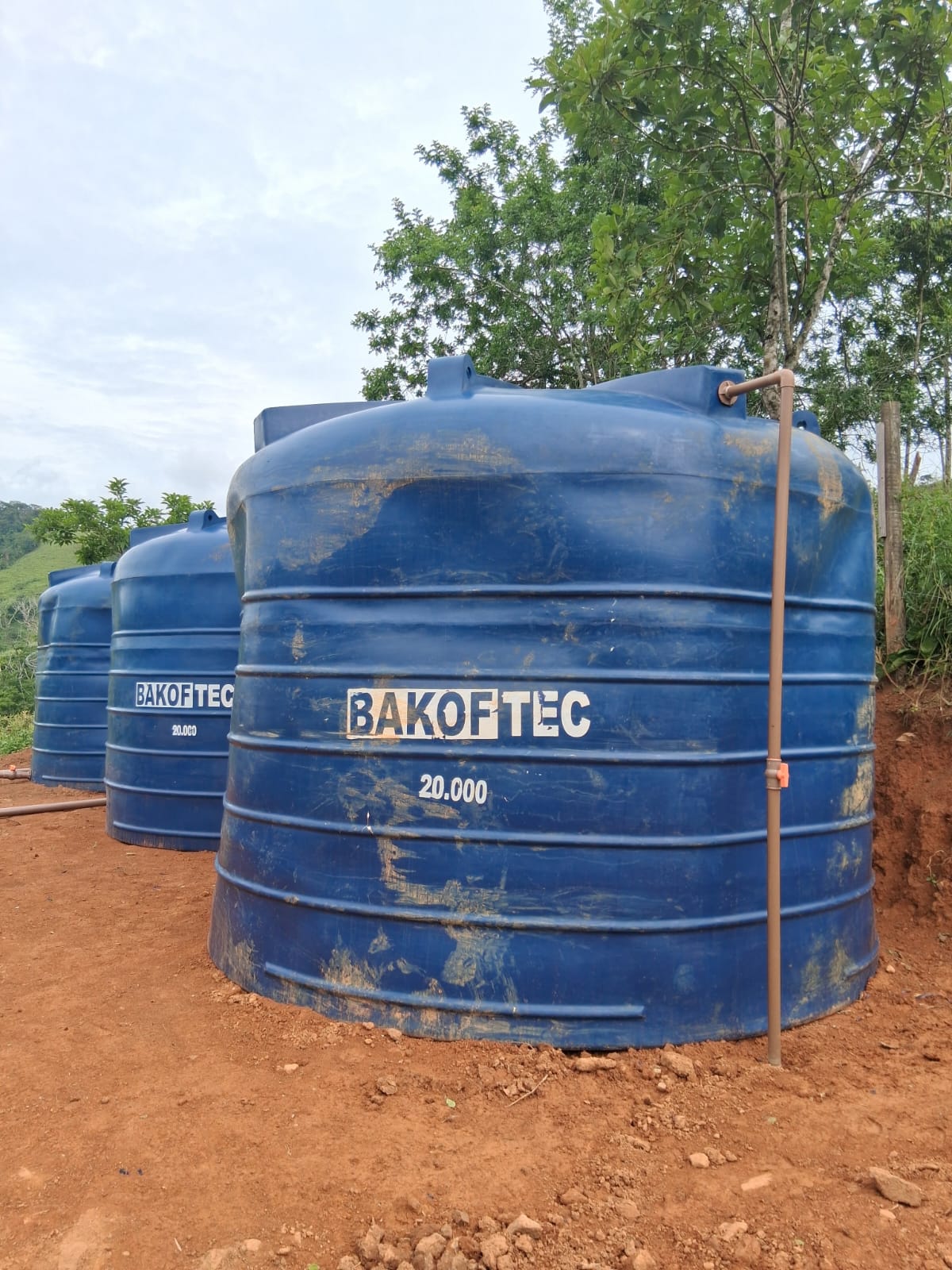 {{brizy_dc_image_alt entityId=