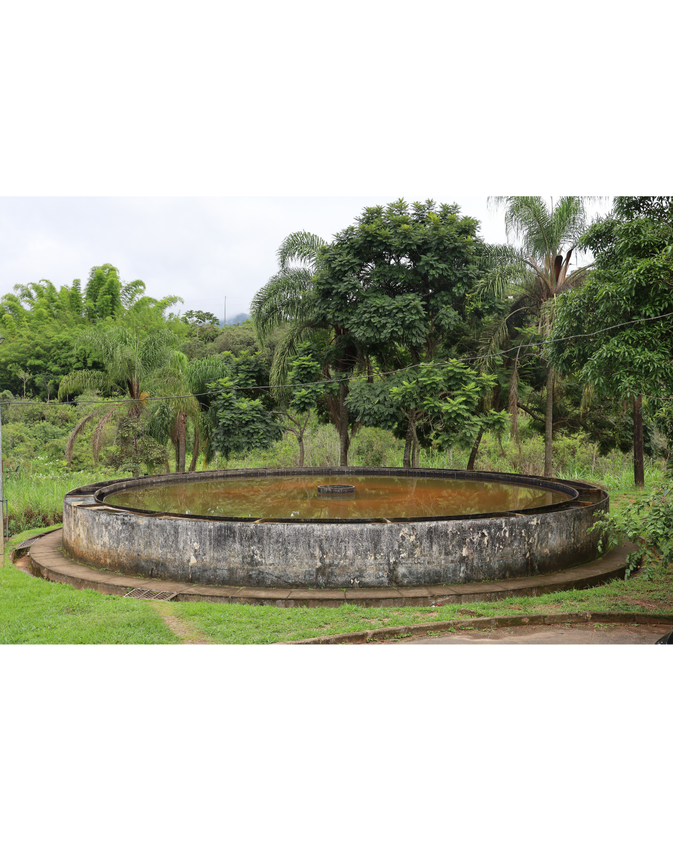 {{brizy_dc_image_alt entityId=