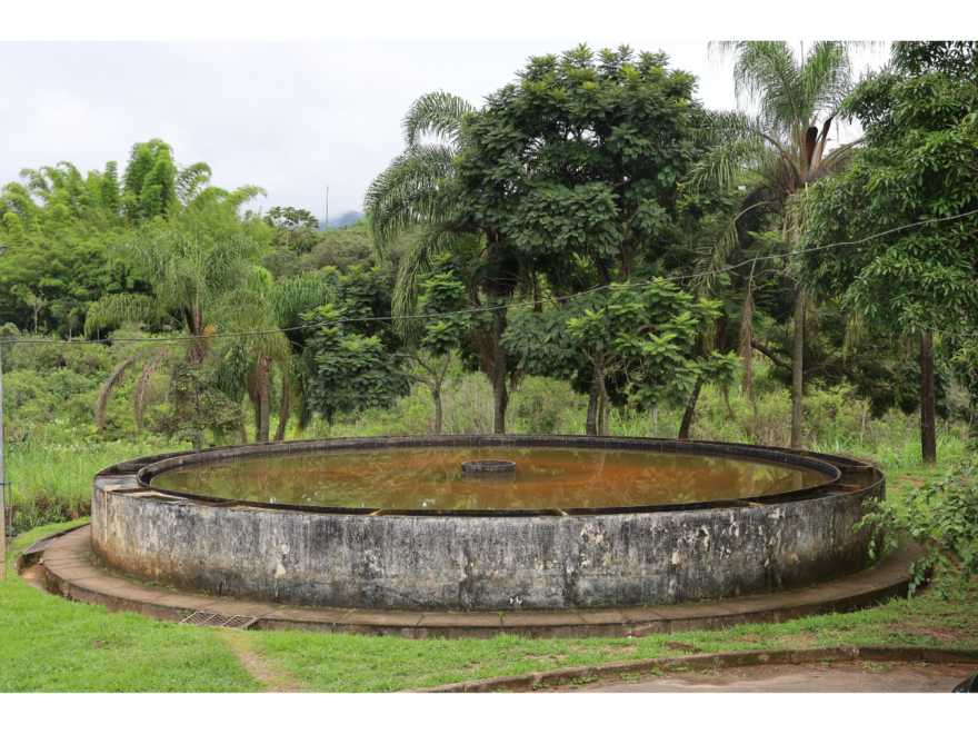 {{brizy_dc_image_alt entityId=