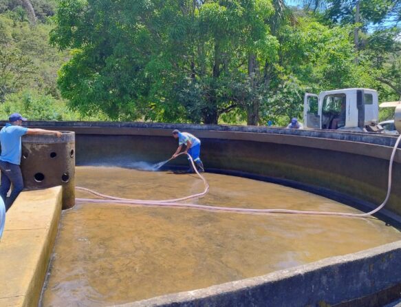 WhatsApp Image 2025-11-17 at 14.04.48