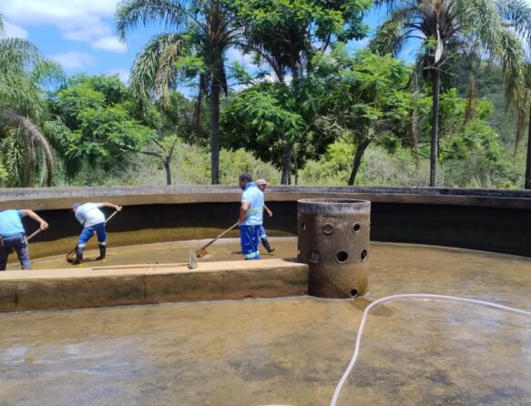 WhatsApp Image 2025-11-17 at 14.21.24